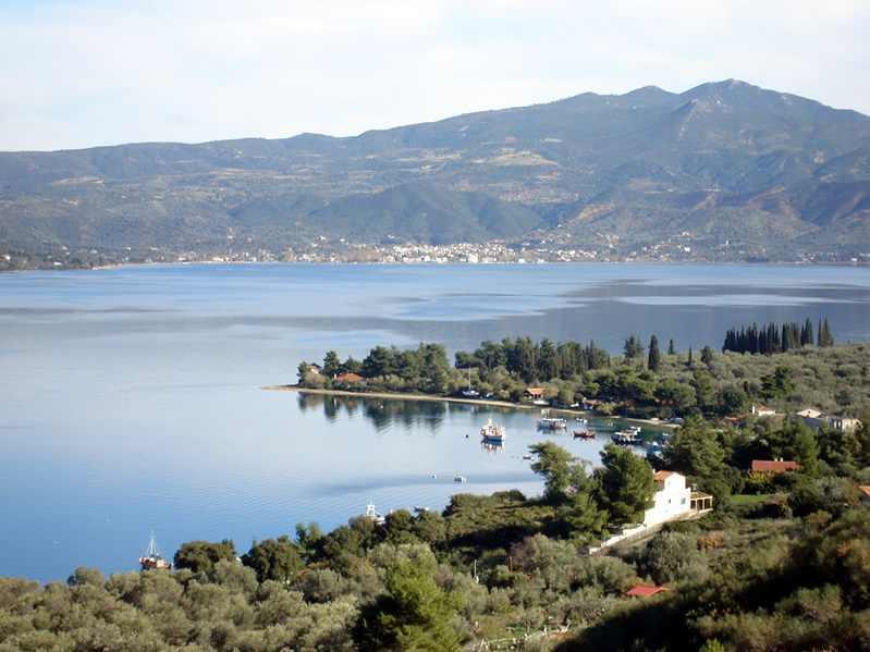 Niovi Luxury Apartments Loutra Edipsou  Dış mekan fotoğraf